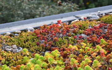 the cost of Stubshaw Cross green roof installation