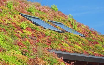 Stubshaw Cross living roof systems